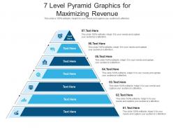 7 level pyramid graphics for maximizing revenue infographic template