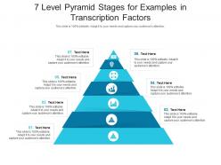 7 level pyramid stages for examples in transcription factors infographic template