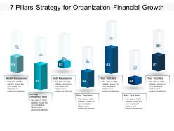 7 pillars strategy for organization financial growth
