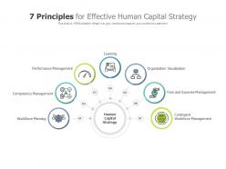 7 principles for effective human capital strategy