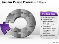 80544516 style puzzles circular 8 piece powerpoint presentation diagram infographic slide