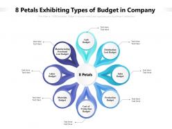 8 petals exhibiting types of budget in company