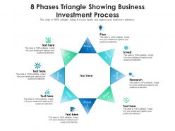 8 phases triangle showing business investment process