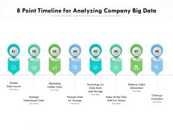 8 point timeline for analyzing company big data