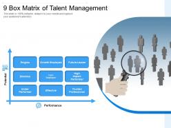 9 box matrix of talent management