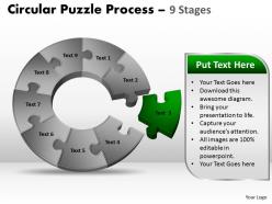 56610472 style puzzles circular 9 piece powerpoint presentation diagram infographic slide