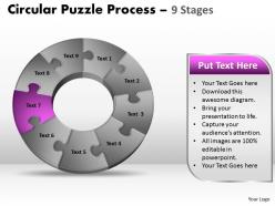 56610472 style puzzles circular 9 piece powerpoint presentation diagram infographic slide