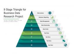 9 stage triangle for business data research project
