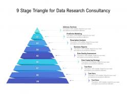 9 stage triangle for data research consultancy