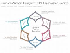 A Business Analysis Ecosystem Ppt Presentation Sample