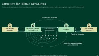 A Complete Understanding Of Islamic Finance Powerpoint Presentation Slides Fin CD V Analytical Pre-designed
