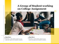 A group of student working on college assignment