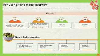 A La Carte Pricing Model Per User Pricing Model Overview Ppt Layouts Format Ideas