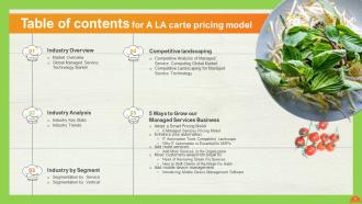 A LA Carte Pricing Model Powerpoint Presentation Slides  Researched Compatible