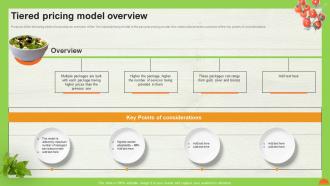 A La Carte Pricing Model Tiered Pricing Model Overview Ppt Professional Images