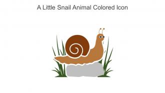 A Little Snail Animal Colored Icon In Powerpoint Pptx Png And Editable Eps Format