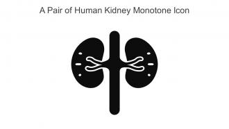 A Pair Of Human Kidney Monotone Icon In Powerpoint Pptx Png And Editable Eps Format