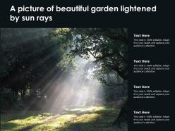 A picture of beautiful garden lightened by sun rays