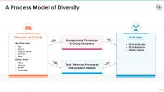 A process model of diversity edu ppt
