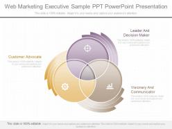 A web marketing executive sample ppt powerpoint presentation