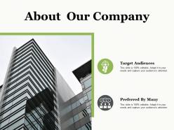 About our company ppt professional example introduction