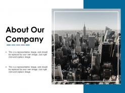 About our company ppt slide styles