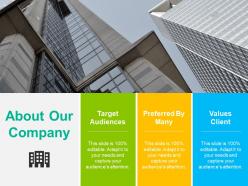 About our company ppt summary format ideas