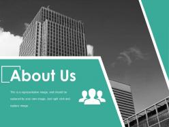 About us ppt summary infographics