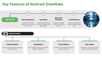 Abstract Snowflake For Modern Business Insights PPT Demonstration AT Researched Image