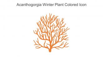 Acanthogorgia Winter Plant Colored Icon In Powerpoint Pptx Png And Editable Eps Format