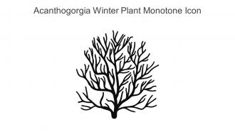 Acanthogorgia Winter Plant Monotone Icon In Powerpoint Pptx Png And Editable Eps Format