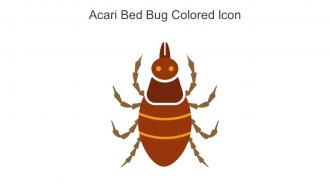 Acari Bed Bug Colored Icon In Powerpoint Pptx Png And Editable Eps Format