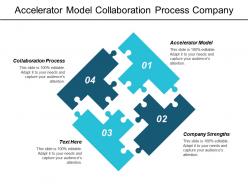 Accelerator model collaboration process company strengths competitive pricing strategies cpb