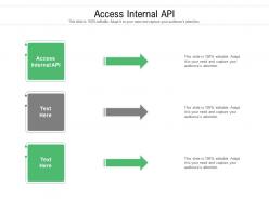 Access internal api ppt powerpoint presentation file infographic template cpb