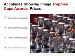 Accolades showing image trophies cups awards prizes