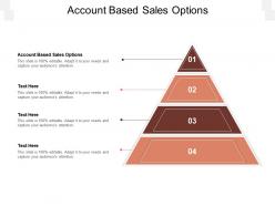 Account based sales options ppt powerpoint presentation slides structure cpb