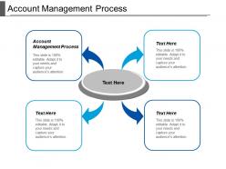 Account management process ppt powerpoint presentation file display cpb