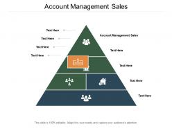 Account management sales ppt powerpoint presentation portfolio visual aids cpb