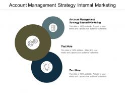 Account management strategy internal marketing ppt powerpoint presentation slides infographic template cpb