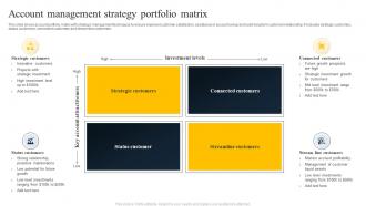 Account Management Strategy Portfolio Matrix