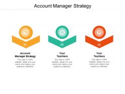 Account manager strategy ppt powerpoint presentation summary slide download cpb