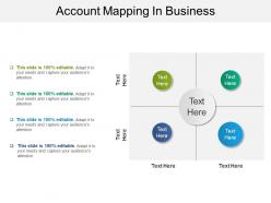 Account mapping in business sample of ppt