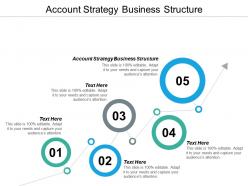 Account strategy business structure ppt powerpoint presentation model maker cpb