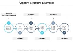 Account structure examples ppt powerpoint presentation gallery visuals cpb