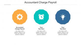 Accountant charge payroll ppt powerpoint presentation ideas inspiration cpb