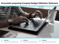 Accountant Preparing Company Budget Utilization Statement