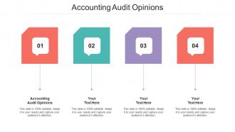 Accounting Audit Opinions Ppt Powerpoint Presentation Outline Format Ideas Cpb