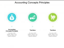 Accounting concepts principles ppt powerpoint presentation styles elements cpb