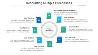 Accounting Multiple Businesses Ppt Powerpoint Presentation Professional Cpb