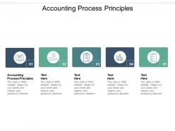 Accounting process principles ppt powerpoint presentation outline icons cpb